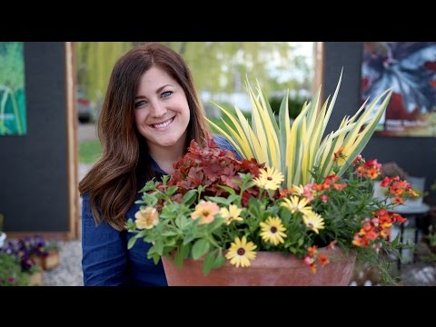 Container Inspiration // Orange & Yellow