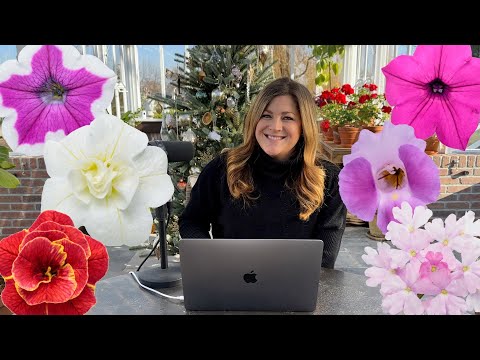 Our Experience with the New Annuals for 2024!