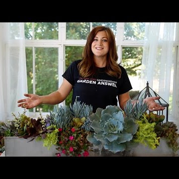 Outdoor Succulent Arrangement (Full Version)