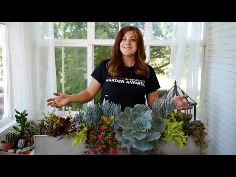 Outdoor Succulent Arrangement (Full Version)