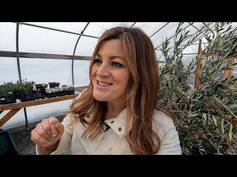 Planting Seeds & Plant Maintenance In the Greenhouse!