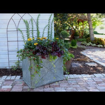 A Container that Will Last Through Fall