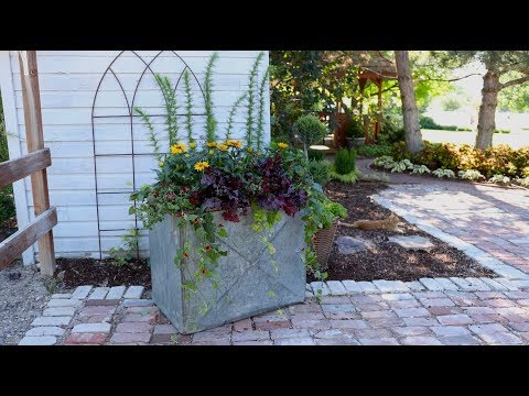 A Container that Will Last Through Fall