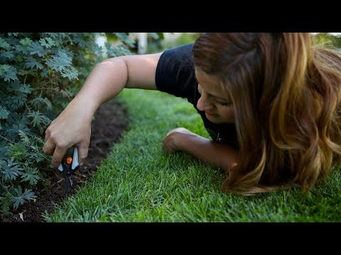 How I Edge Grass