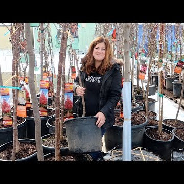 First Tree Load of 2021!