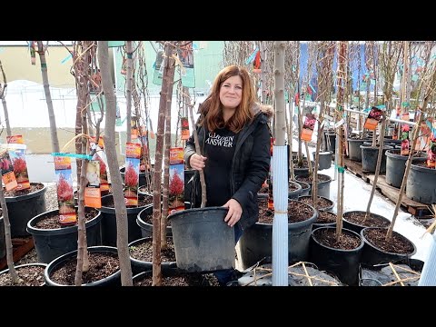 First Tree Load of 2021!