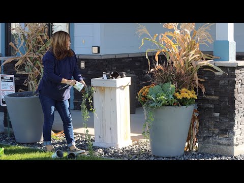 Decorating for Fall at a Local Non-Profit!
