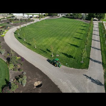 Huge Food Harvest + Planting 9 of the New Maples!
