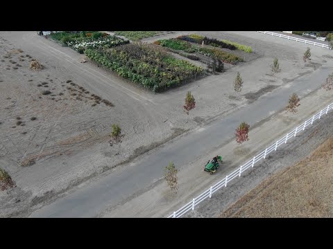 Planting Grass Seed Along Our Lane!