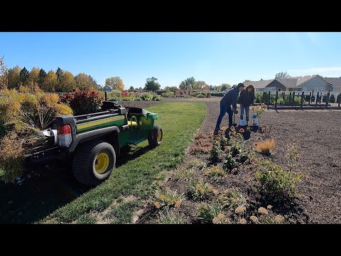 Planting Some Rough Looking Stuff!
