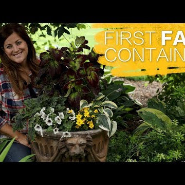 First Fall Container of the Year
