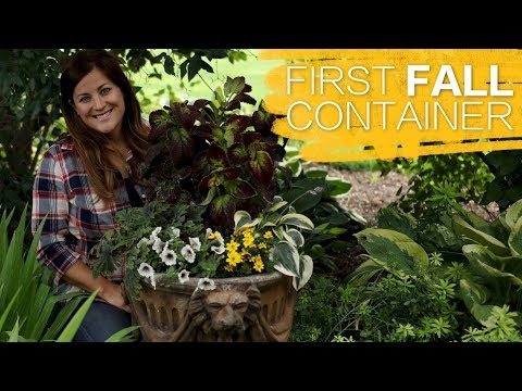 First Fall Container of the Year