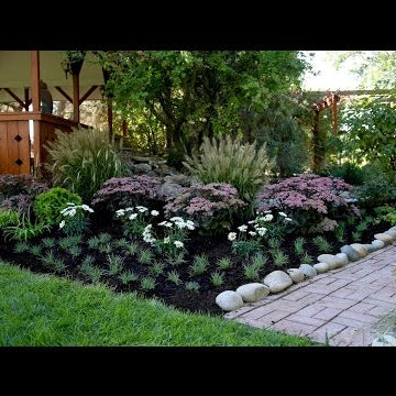 Landscape Makeover Part 2 // Bulbs and Drip Trube