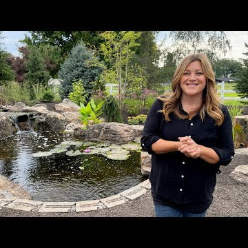 August Garden Tour!  (Best August Ever!)