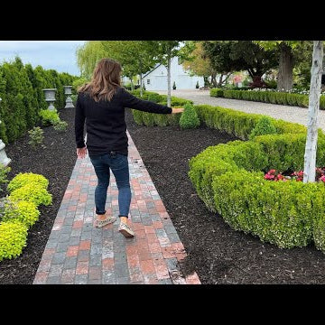 May Garden Tour: Part 1!