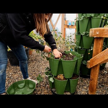 Growing Greens, Herbs & Small Root Crops Inside During Winter!