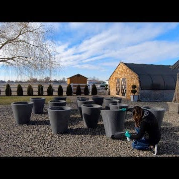 Annual Container Maintenance!