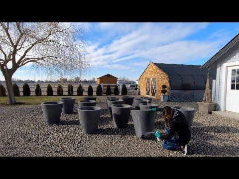 Annual Container Maintenance!