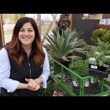 Plant Haul, Planting, Pruning, and Transplanting!