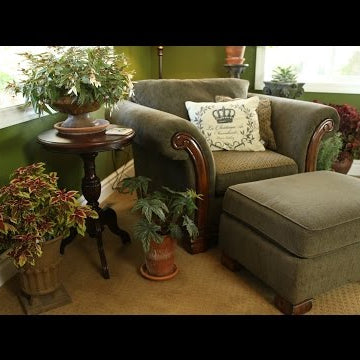 Bringing in Plants to Overwinter