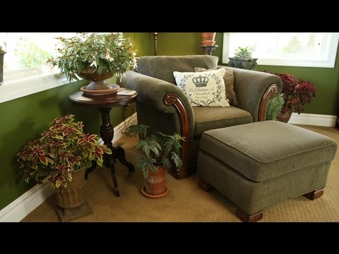 Bringing in Plants to Overwinter
