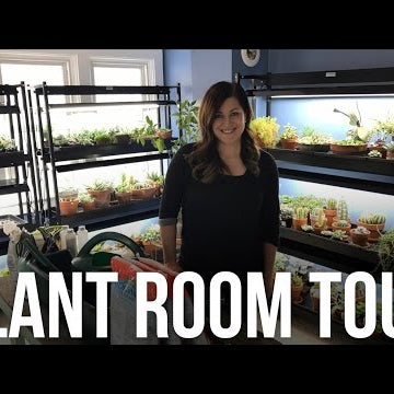 Plant Room Tour