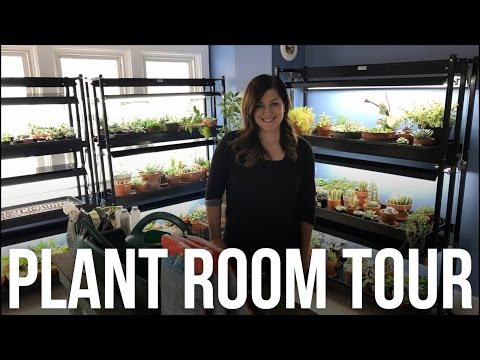 Plant Room Tour