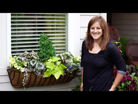 Window Basket Shade Planter
