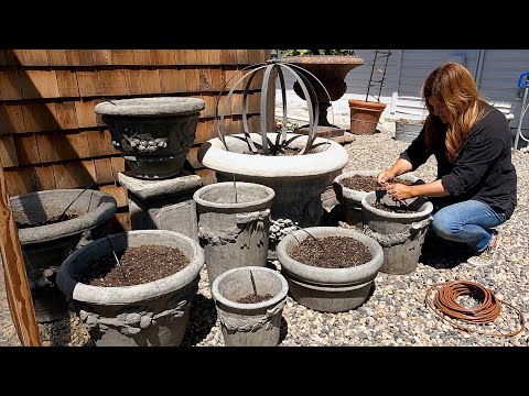 Setting Up 18 Pots On Drip Irrigation!