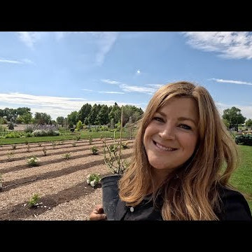 Random Planting Day!