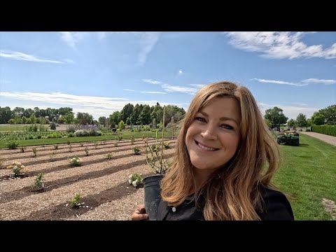 Random Planting Day!