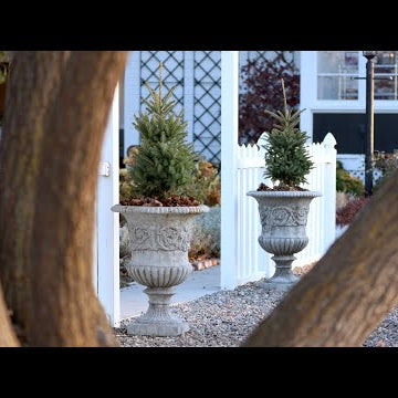 Simple Winter Containers!
