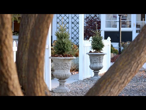 Simple Winter Containers!