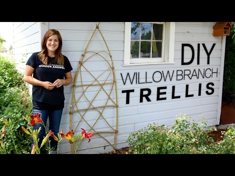 DIY Willow Branch Trellis (Full Version)