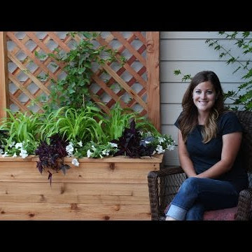 How to Build a Trellis Planter