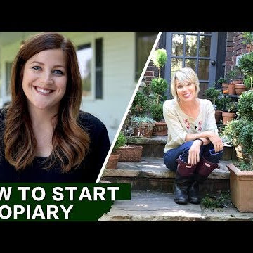 How to Start a Topiary w/ Linda Vater