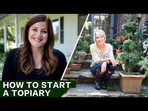 How to Start a Topiary w/ Linda Vater