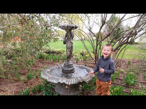 Setting Up a New Fountain! ️