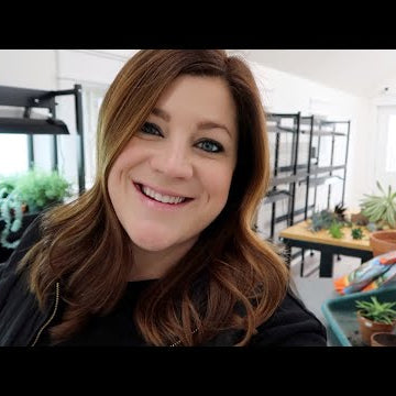 Potting Succulent Cuttings & Organizing the Studio/Barn!
