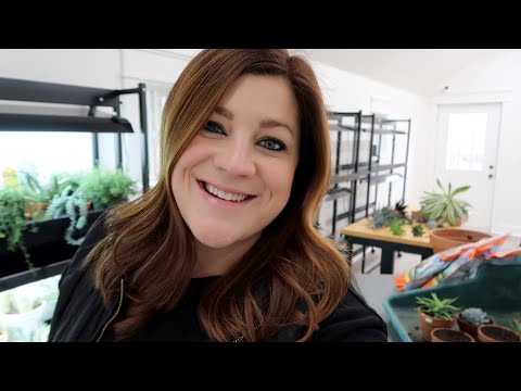 Potting Succulent Cuttings & Organizing the Studio/Barn!