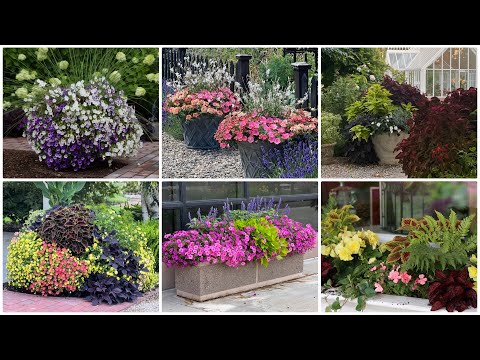 6 Container Combinations to Love!