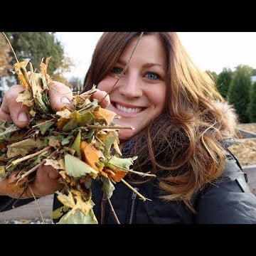 Using Leaves to Make Homemade Mulch!