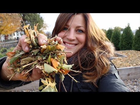 Using Leaves to Make Homemade Mulch!