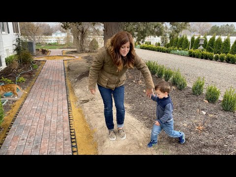 Spring Projects Update!