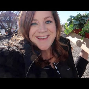 A Trip to the Garden Center for Houseplants!
