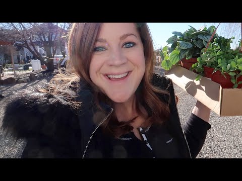 A Trip to the Garden Center for Houseplants!