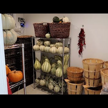 Filling Up Our Root Cellar!