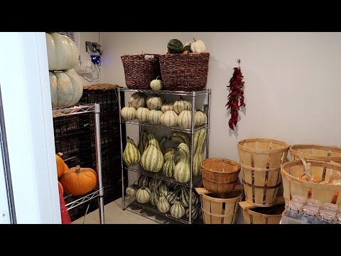 Filling Up Our Root Cellar!