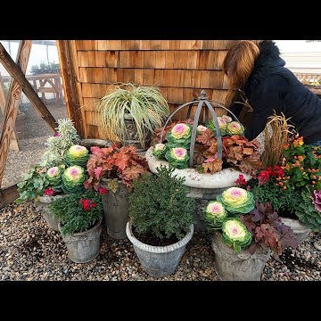 Planting Up All the Pots in Front of the Greenhouse!