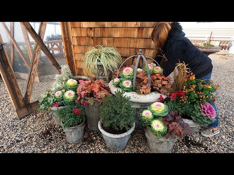 Planting Up All the Pots in Front of the Greenhouse!